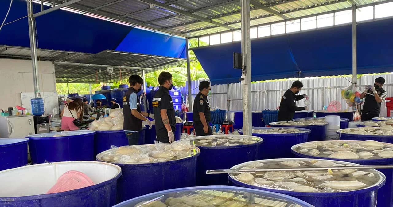 สั่งปศุสัตว์ทั่วประเทศตรวจแหล่งผลิตเนื้อสัตว์หวั่นมีฟอร์มาลิน