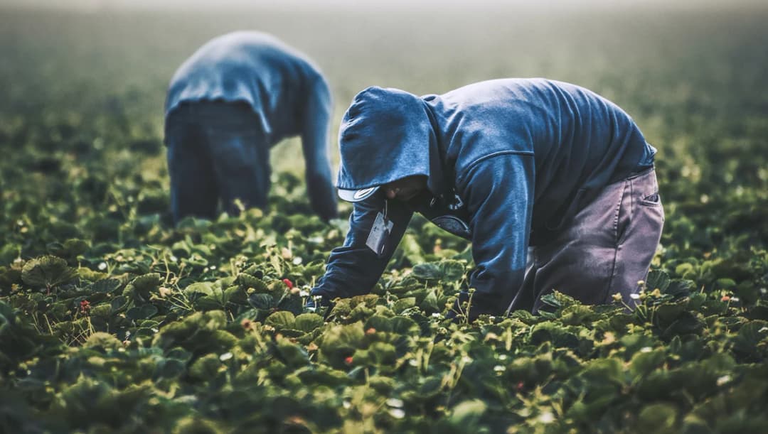 ปี 66 เพิ่มโควตาแรงงานไทยทำงานเกาหลีเป็น 15,000 คน