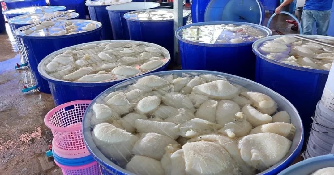 รัฐมนตรีเกษตรฯ สั่งปูพรหม คุมเข้มแหล่งผลิตเนื้อสัตว์ส่งขาย ร้านหมูกระทะ-ร้านอาหารอีสาน