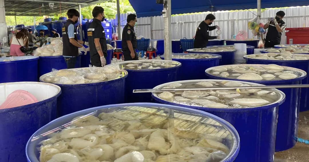 เตือนขายหมูแช่ ‘ฟอร์มาลิน’ โทษหนัก คุกไม่เกิน 2 ปี ปรับไม่เกิน 2 แสน หรือทั้งจำทั้งปรับ