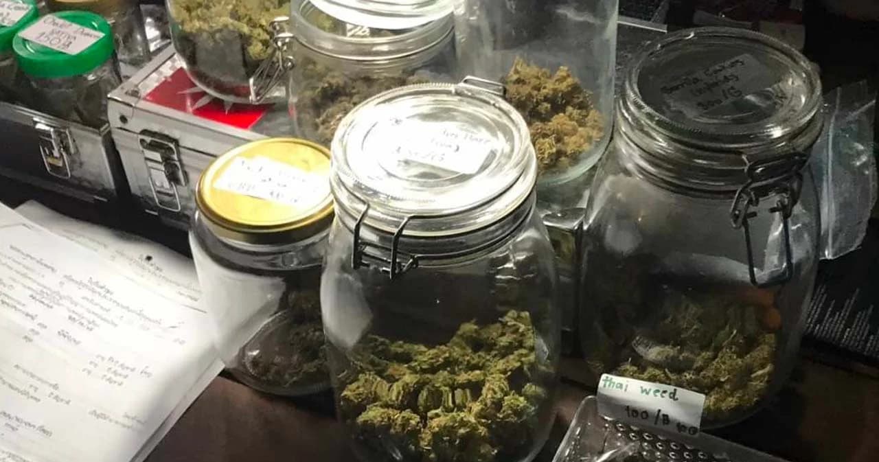 จับ 6 รายร้านค้าถนนข้าวสาร ทำผิดเงื่อนไขและกฎหมายสมุนไพรควบคุม (กัญชา)