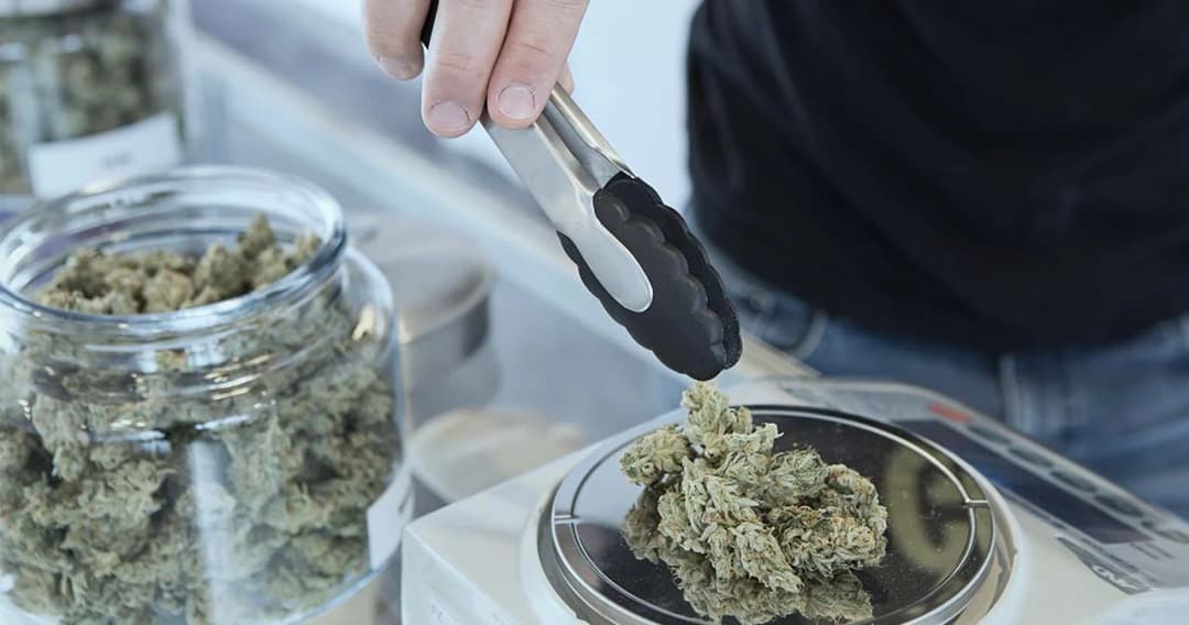 แพทย์แผนไทยฯ​ เผยเตรียมใช้บัตรประชาชน ซื้อช่อดอกกัญชา คาดเริ่ม ม.ค. 66