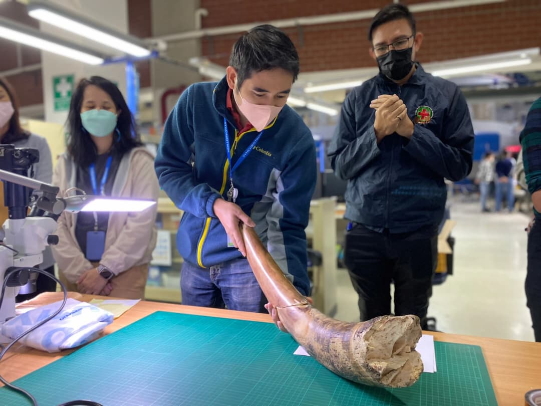 ‘ซินโครตรอน’ ไขปริศนางาหักใน ‘ศึกช้างชนช้าง’ เขาใหญ่