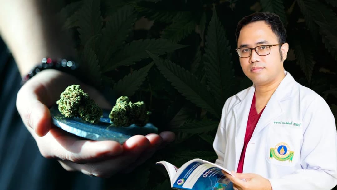 เปิดข้อมูลศูนย์พิษวิทยาฯ พบผู้ป่วยจากการใช้กัญชาเพิ่ม 3.5 เท่า