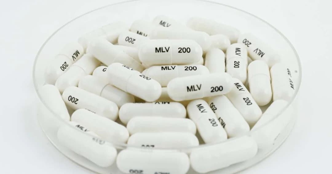 อภ. เตรียมกระจาย ‘ยาโมลนูพิราเวียร์’ รักษาโควิด-19 หลังได้รับทะเบียนผลิตยาแล้ว