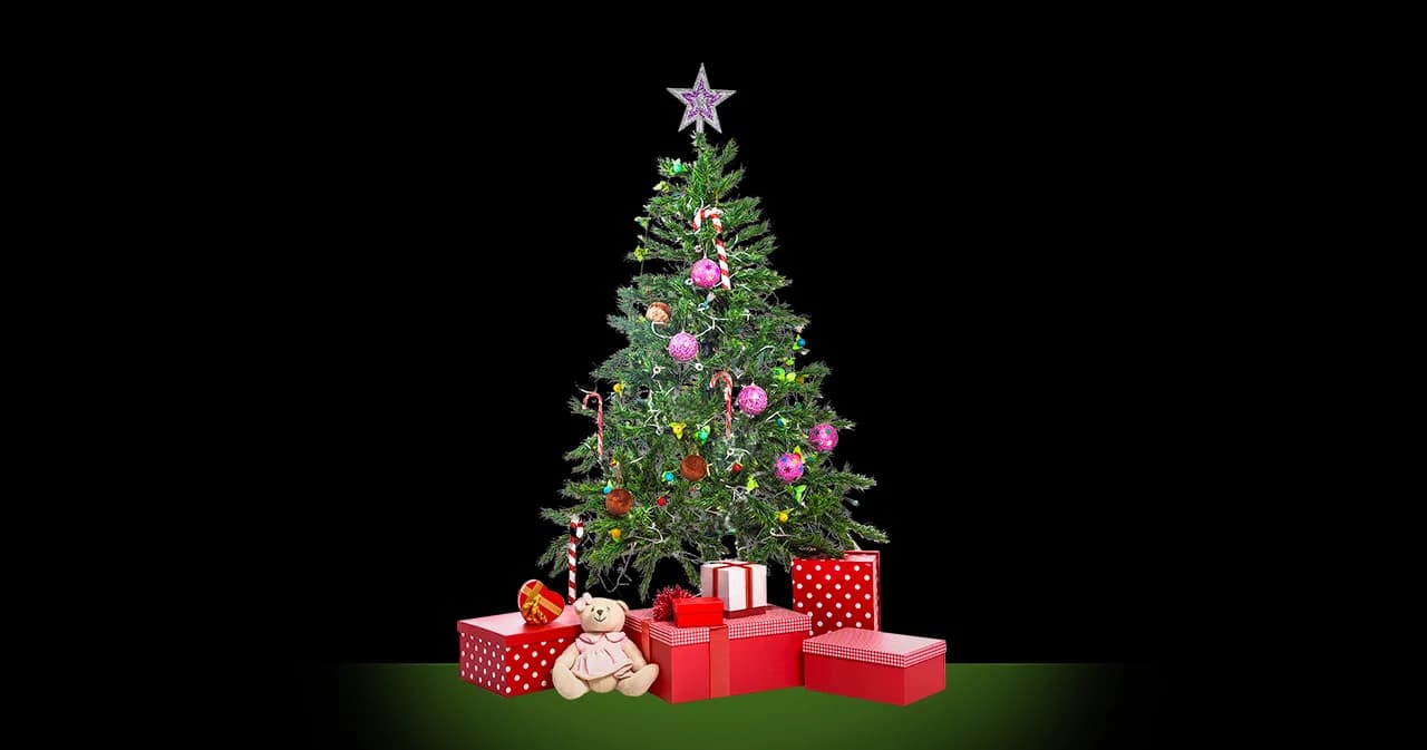 คืนต้นคริสต์มาสสู่ฟาร์ม แล้วมาเช่าต้นเดิมใหม่ วิธีลด ‘ก๊าซเรือนกระจก’ ของคนอังกฤษ