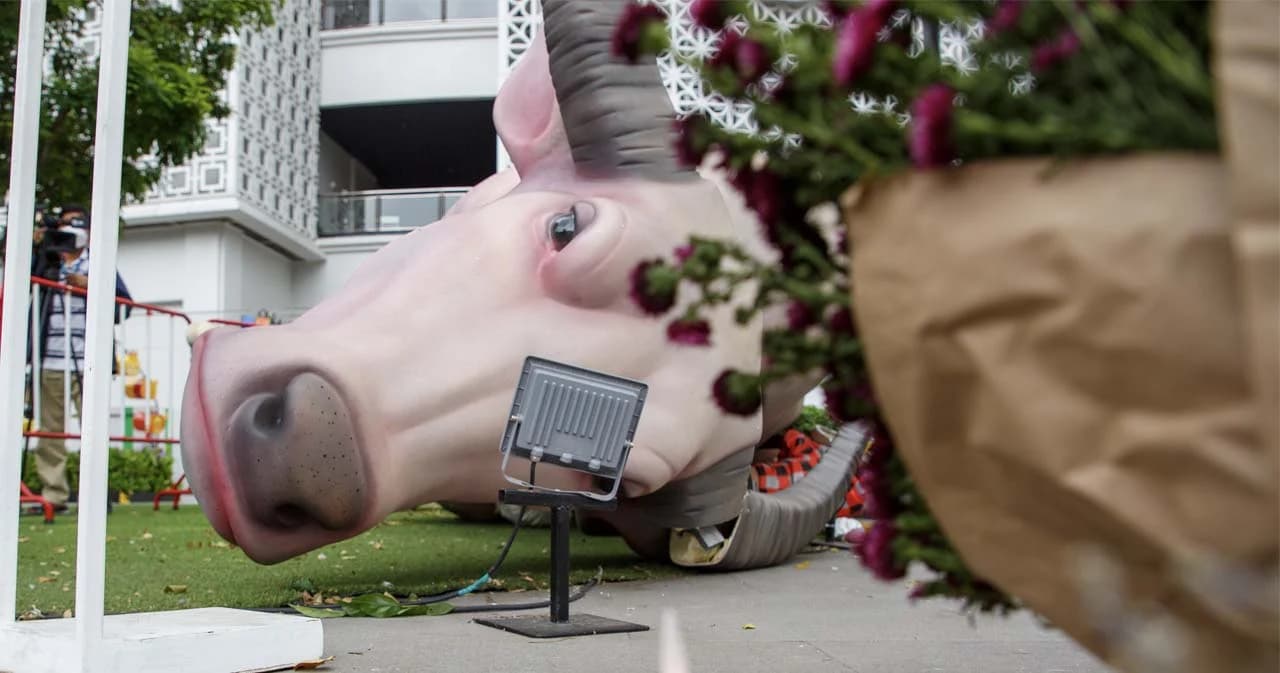 วางดอกไม้ แสดงความเสียใจ ศิลปะ ‘น้องควายเผือก’ พัง