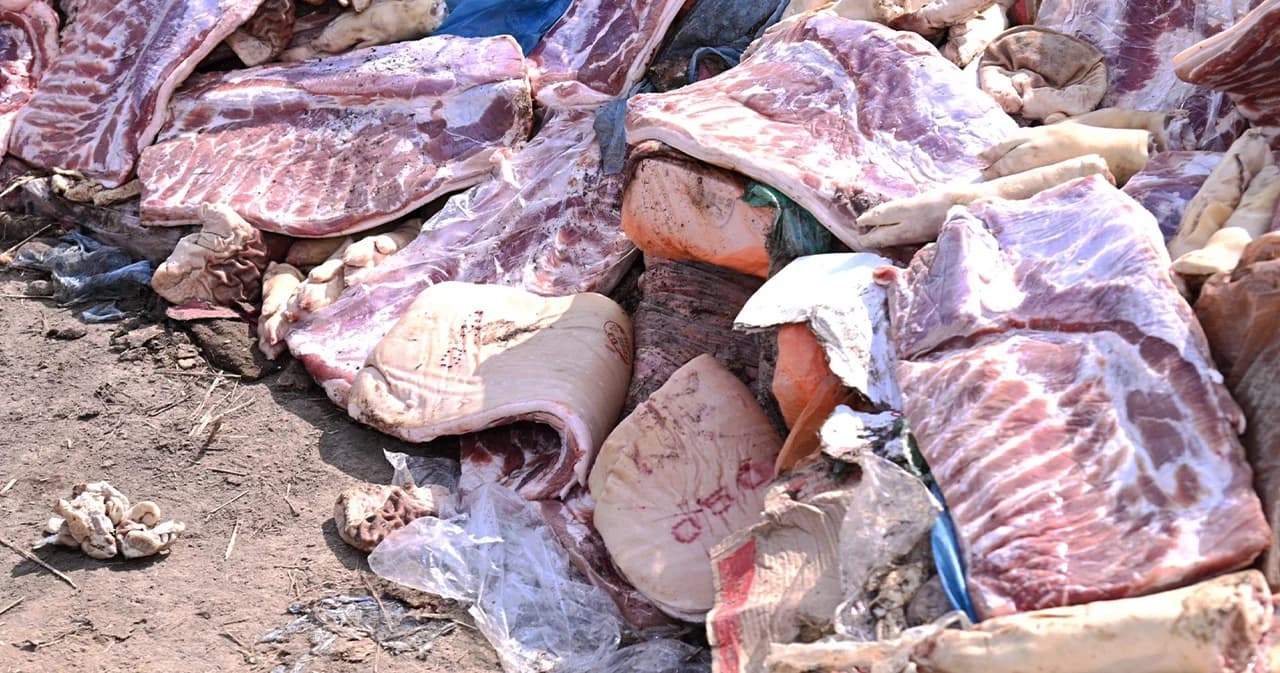 ฝังทำลายหมูเถื่อน 700,000 กก. มูลค่า 123 ล้านบาท มากที่สุดเป็นประวัติการณ์