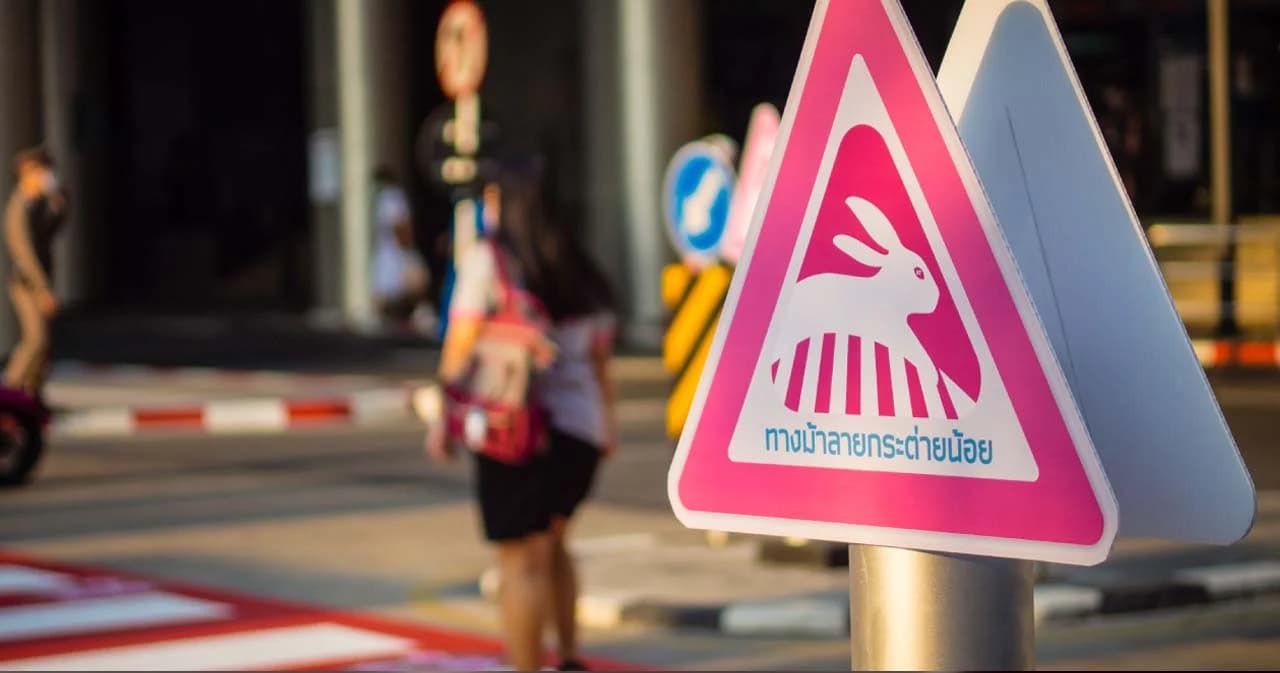 เทียบสถิติอุบัติเหตุทางถนน 2564-2565 หลังเหตุการณ์ ‘หมอกระต่าย’ ยอดเสียชีวิต-บาดเจ็บ ยังเพิ่มขึ้น