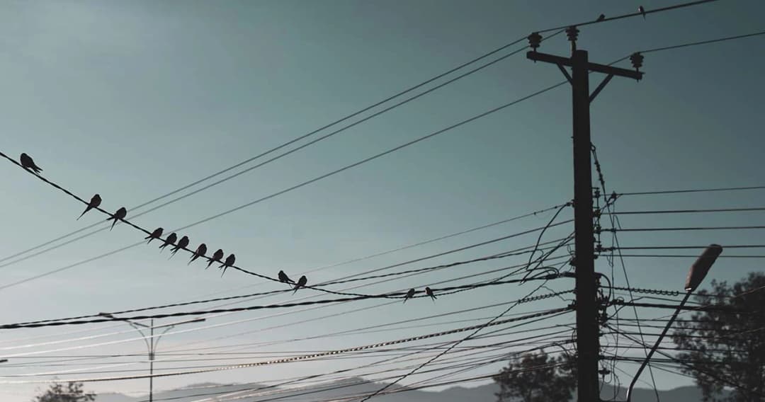 กพช.เห็นชอบแนวทางลดภาระค่าไฟฟ้ากลุ่มเปราะบาง ม.ค.-เม.ย.66 วงเงินช่วยเหลือ 4,300 ล้านบาท 