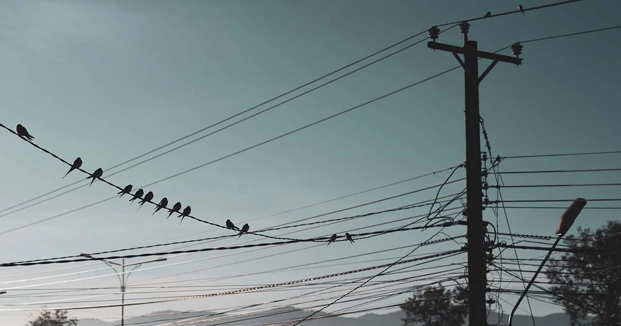 กพช.เห็นชอบแนวทางลดภาระค่าไฟฟ้ากลุ่มเปราะบาง ม.ค.-เม.ย.66 วงเงินช่วยเหลือ 4,300 ล้านบาท