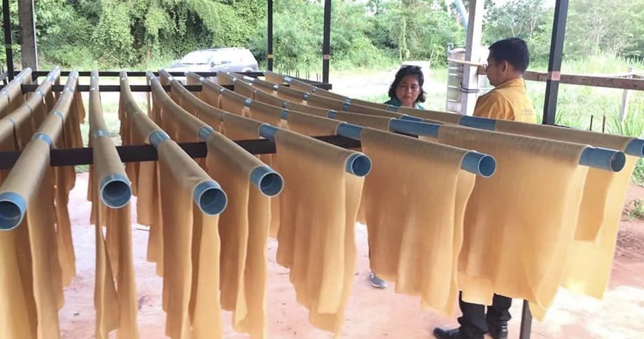 ครม.เห็นชอบ วงเงินกว่า 7.64 พันล้าน ประกันรายได้ชาวสวนยาง เฟส 4