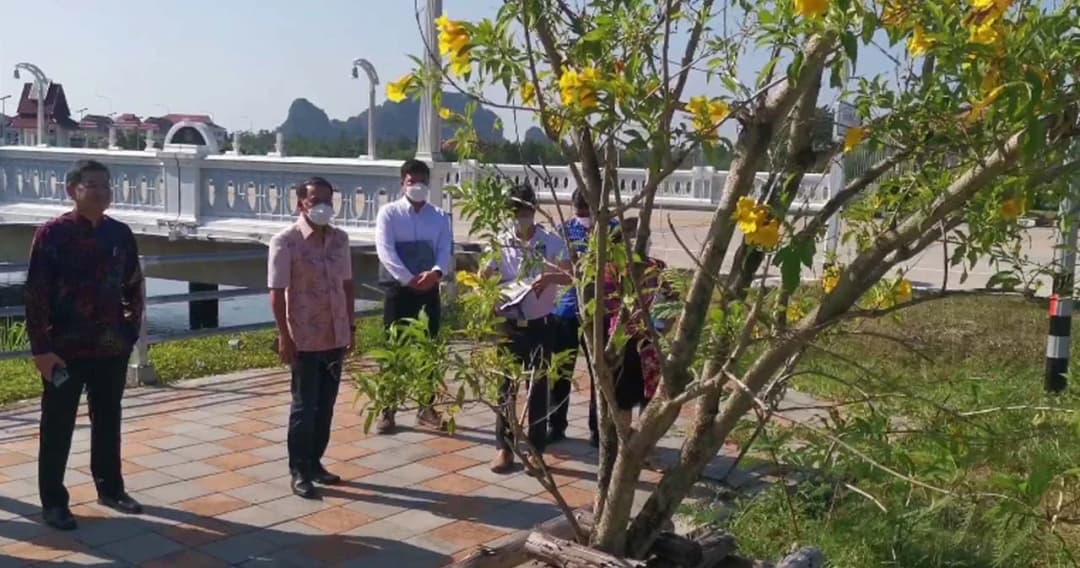 ผู้ว่าฯ พังงา สั่งสอบ ‘ต้นทองอุไร’ ต้นละ 6 พัน ‘ชุดน้ำพุ’ 6 ล้าน