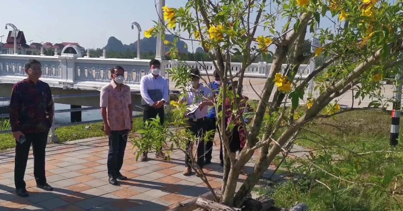 ผู้ว่าฯ พังงา สั่งสอบ ‘ต้นทองอุไร’ ต้นละ 6 พัน ‘ชุดน้ำพุ’ 6 ล้าน