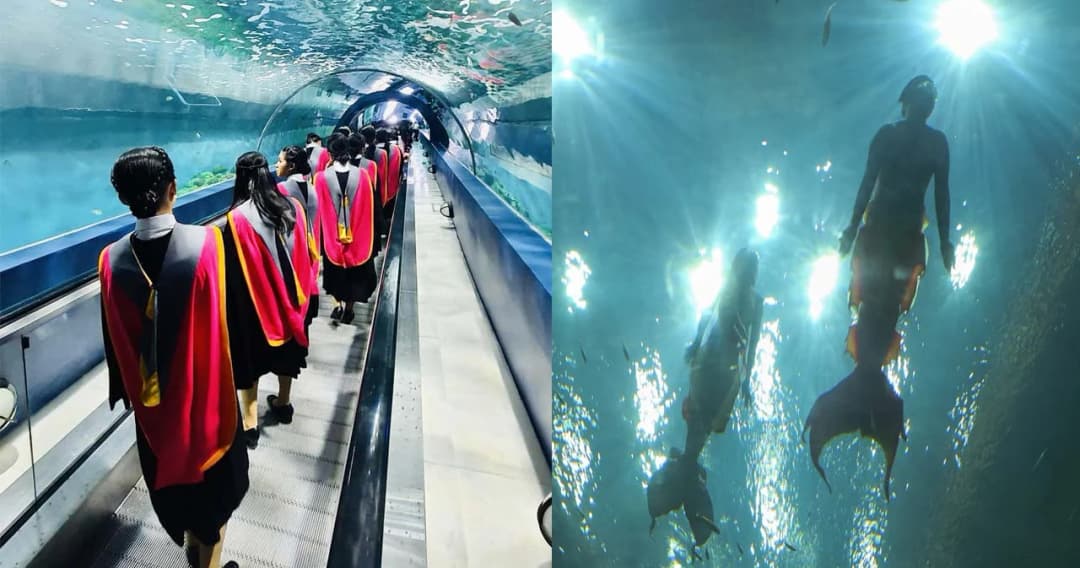 เงือกก็มา ปลาก็มี รับปริญญาในอควาเรียม