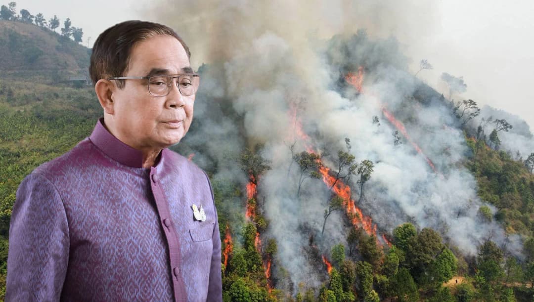 ฝุ่น PM2.5 ภาคเหนือวิกฤต นายกฯ กำชับบังคับใช้กฎหมายเข้ม ลงโทษผู้กระทำผิดเผาป่า