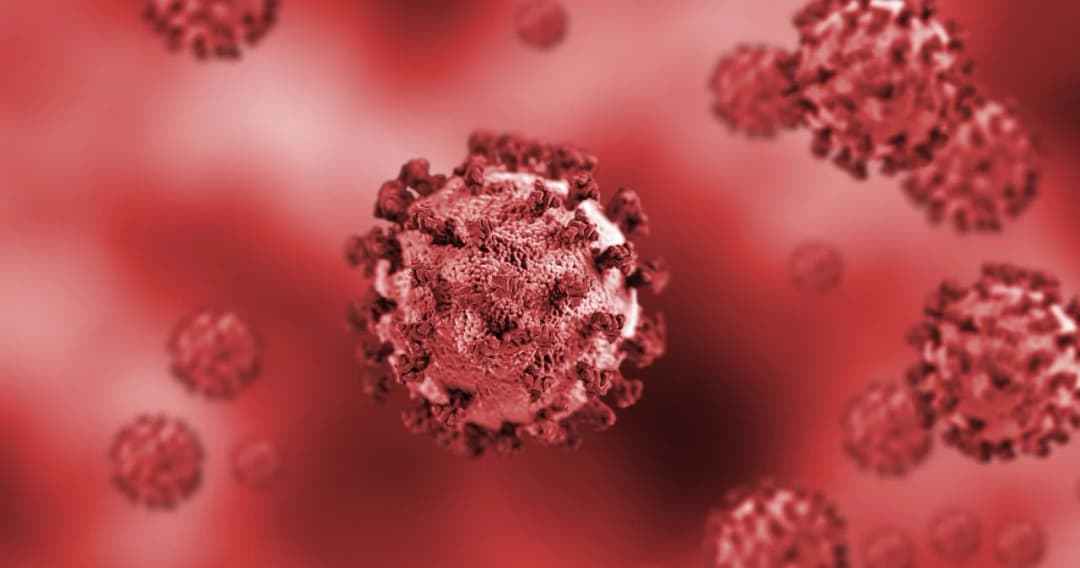 สธ.คาดหลังสงกรานต์ 2566 ผู้ติดเชื้อโควิดเพิ่มขึ้นกว่าช่วงปีใหม่ เฝ้าระวังสายพันธุ์ XBB.1.16