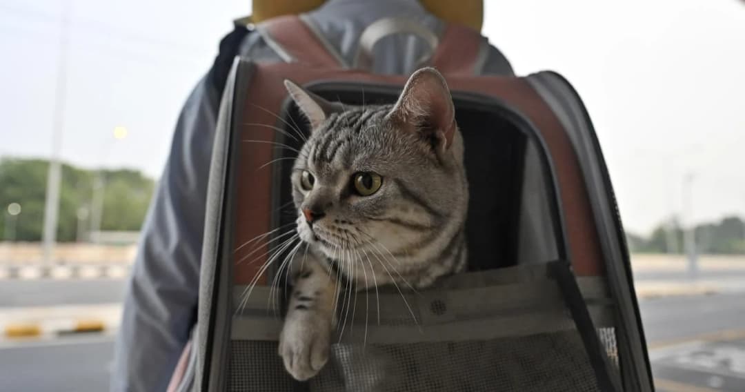 ประมวลภาพ เข้ากรุง ลุยงานกันต่อ หลังไปชาร์จแบตกายเติมพลังใจเต็มที่ ช่วงวันหยุดสงกรานต์ 2566