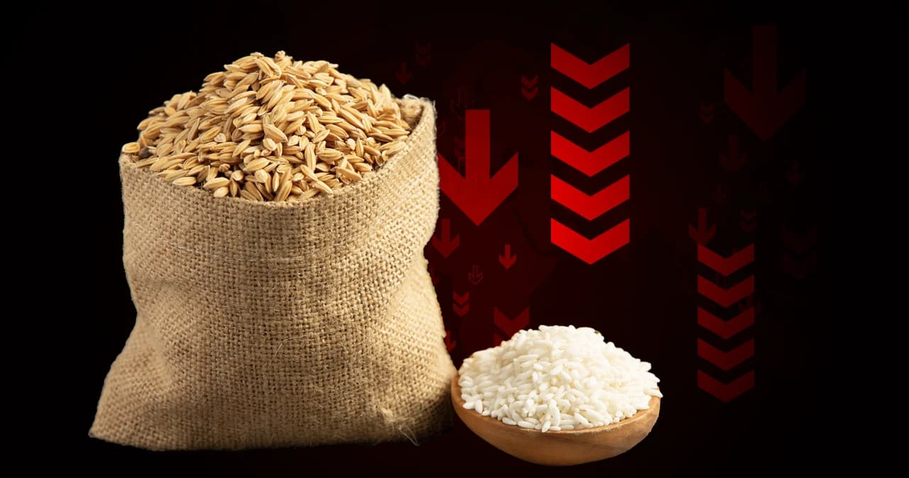 ปีนี้ข้าวขาดตลาดทั่วโลก หนักสุดในรอบ 20 ปี จังหวะไทยมาแล้ว?