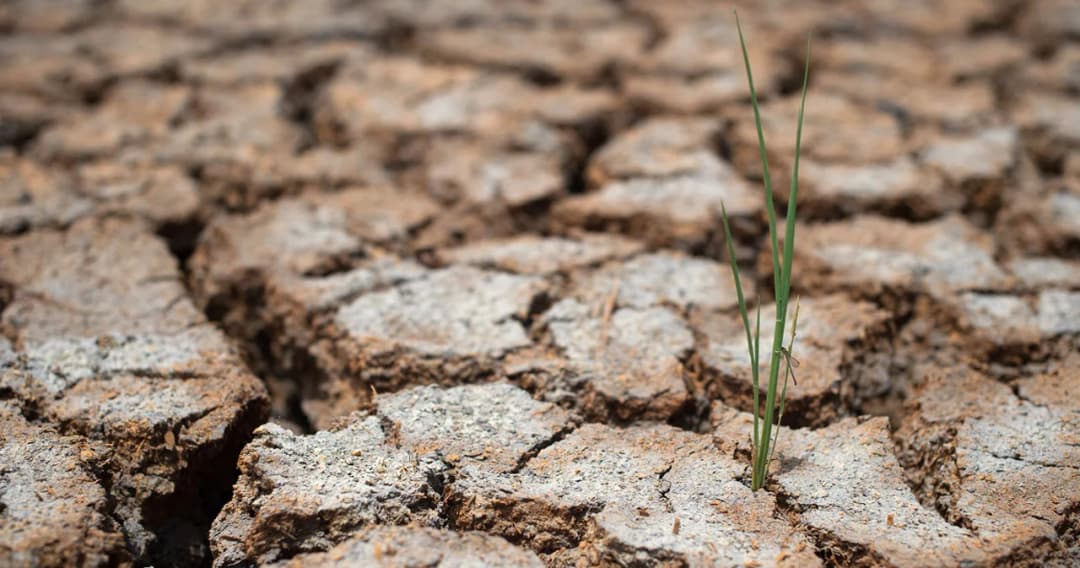 WMO เตือนโลก เตรียมรับมืออากาศร้อนจาก ‘เอลนีโญ่’ ด้าน กรมอุตุฯ เผย ฤดูฝนของไทยปีนี้มาช้ากว่าปกติ