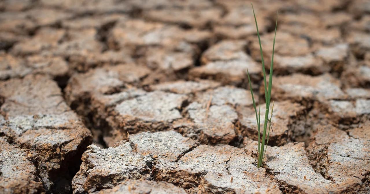 WMO เตือนโลก เตรียมรับมืออากาศร้อนจาก ‘เอลนีโญ่’ ด้าน กรมอุตุฯ เผย ฤดูฝนของไทยปีนี้มาช้ากว่าปกติ