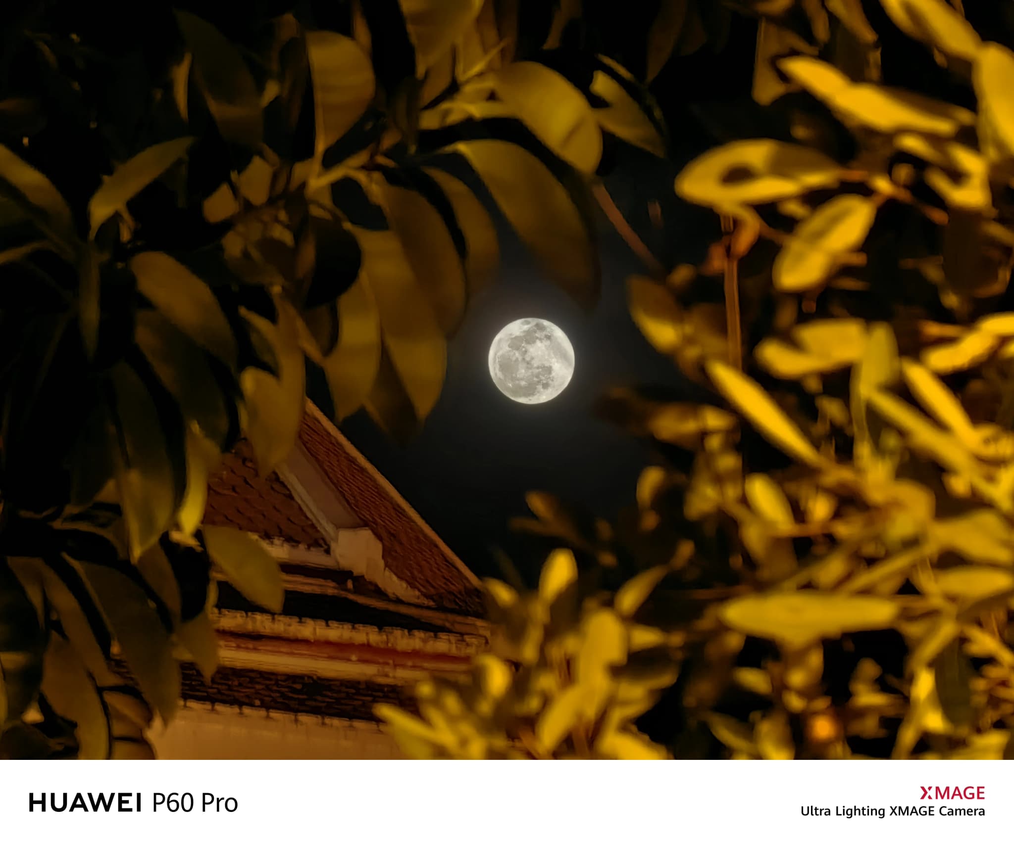 ททท. และหัวเว่ย จัดแคมเปญคู่ นำ HUAWEI P60 Pro ถ่ายหนังสั้น “Nightlife in Bangkok” โปรโมทการท่องเที่ยว