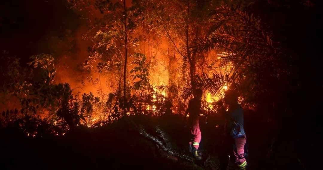 2566 จับตาไทยแล้ง ไฟป่าอาเซียนแรง ผลจากเอลนีโญ