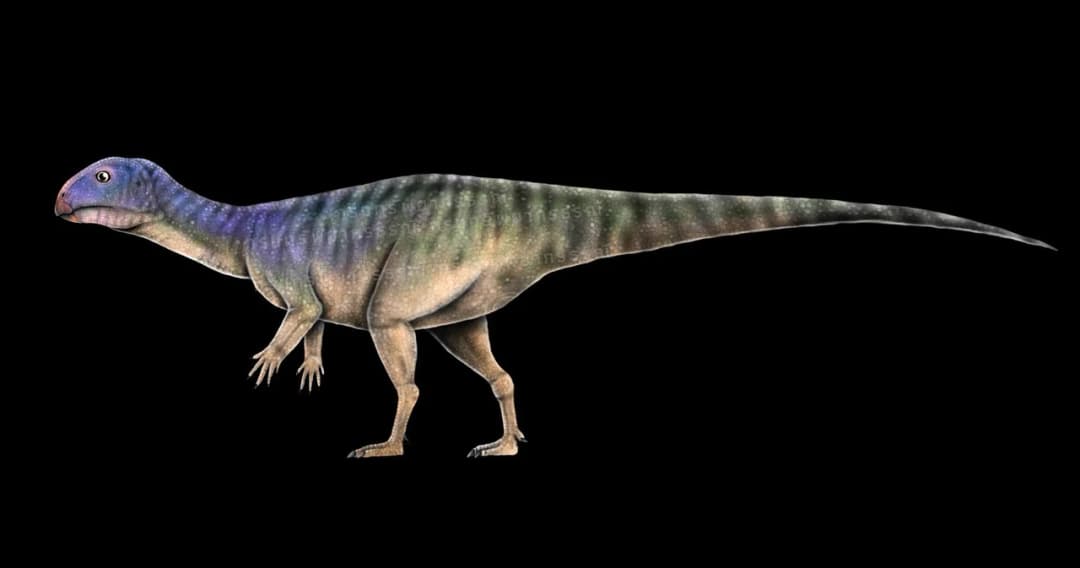 ไทยพบไดโนเสาร์สายพันธุ์ใหม่ของโลก ‘มินิโมเคอร์เซอร์ ภูน้อยแอนซิส’ อายุ 150 ล้านปี