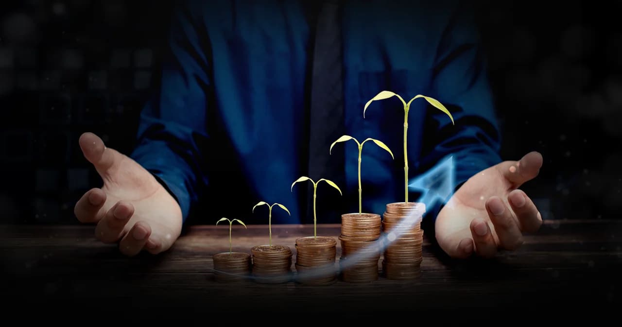 the-idea-of-a-vc-investor