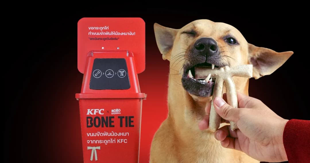 KFC แปรรูปกระดูกไก่ เป็นขนมขัดฟันน้องหมา แจกฟรี รับวันมะหมาโลก