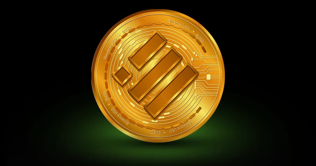 bitkub-delist-binance-usd