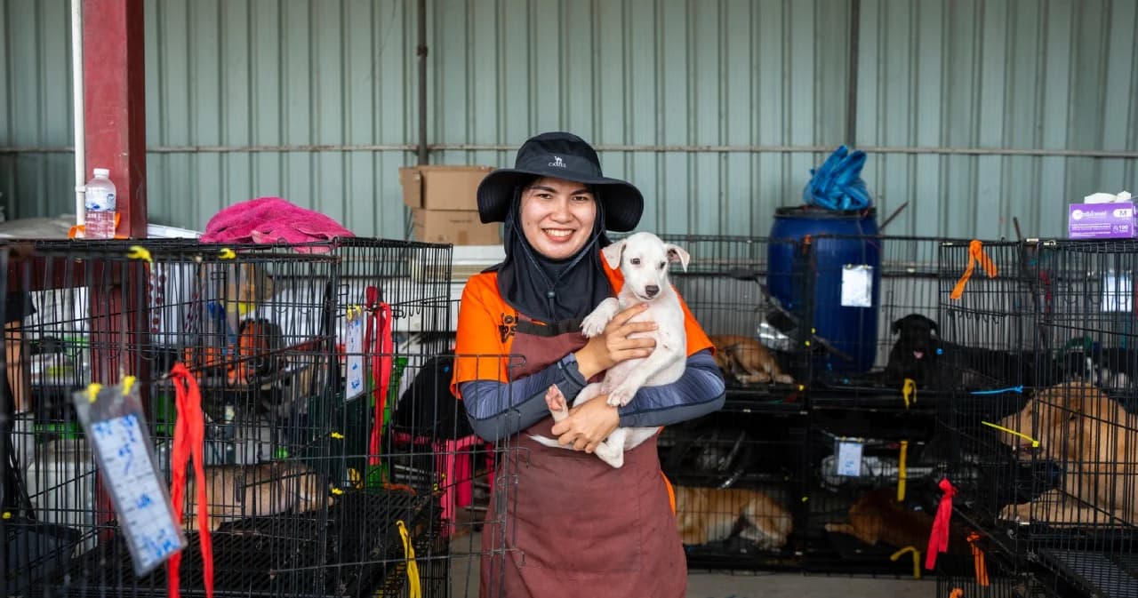 ซอยด็อก ทำหมันฉีดวัคซีนให้สุนัขและแมว ทะลุหนึ่งล้านตัว ตั้งเป้าลดสัตว์จรจัด การแพร่ระบาดโรคพิสุนัขบ้า