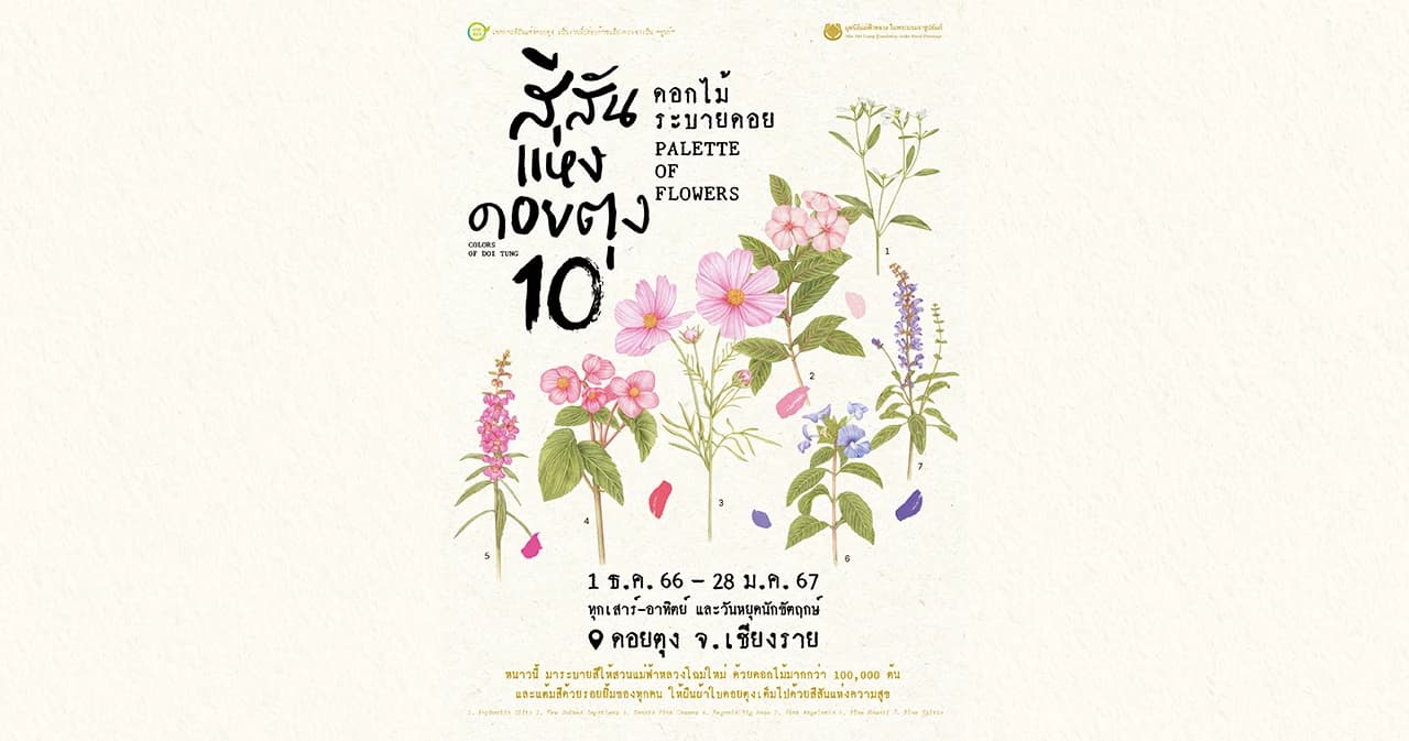 หนาวนี้เตรียม! ตื่นตาตื่นใจ ดอกไม้ระบายดอย ในงานสีสันแห่งดอยตุง ครั้งที่ 10