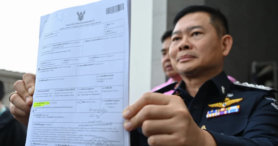 DSI ขยายผลคดี ‘หมูเถื่อน’ บุกค้นห้องเย็นรับฝากอาหารแช่แข็ง ในสมุทรสาคร