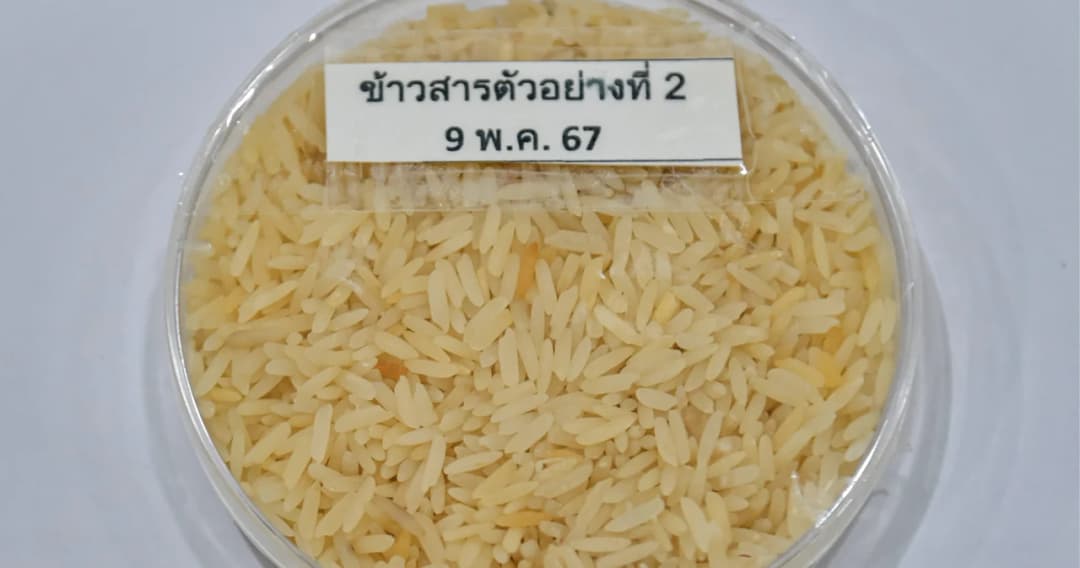 กรมวิทย์ฯ เผยผลตรวจข้าว ไม่พบสาร ‘อะฟลาท็อกซิน’ ปัดตอบเป็นข้าวอายุ 10 ปีหรือไม่