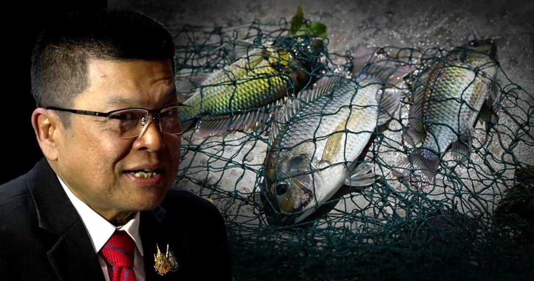 กรมประมง เผย ปลาหมอคางดำ มีเพียงเอกชนรายเดียวนำเข้าในไทย เคาะ 6 มาตรการจัดการ