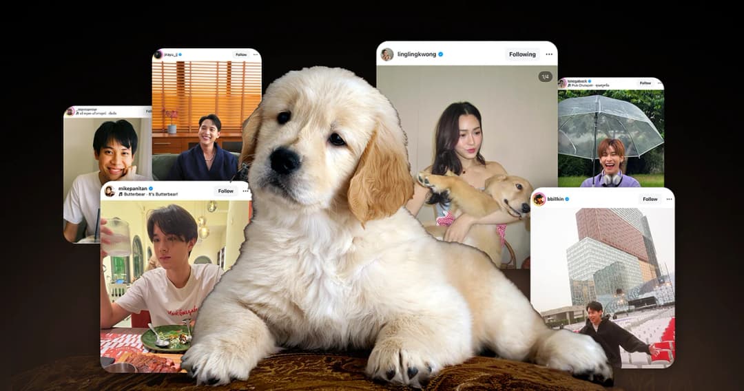 ไทป์โกลเด้นมาแรง!  ซื่อสัตย์ เป็นมิตร มีพลัง คนโสดกว่า 45% เทใจให้