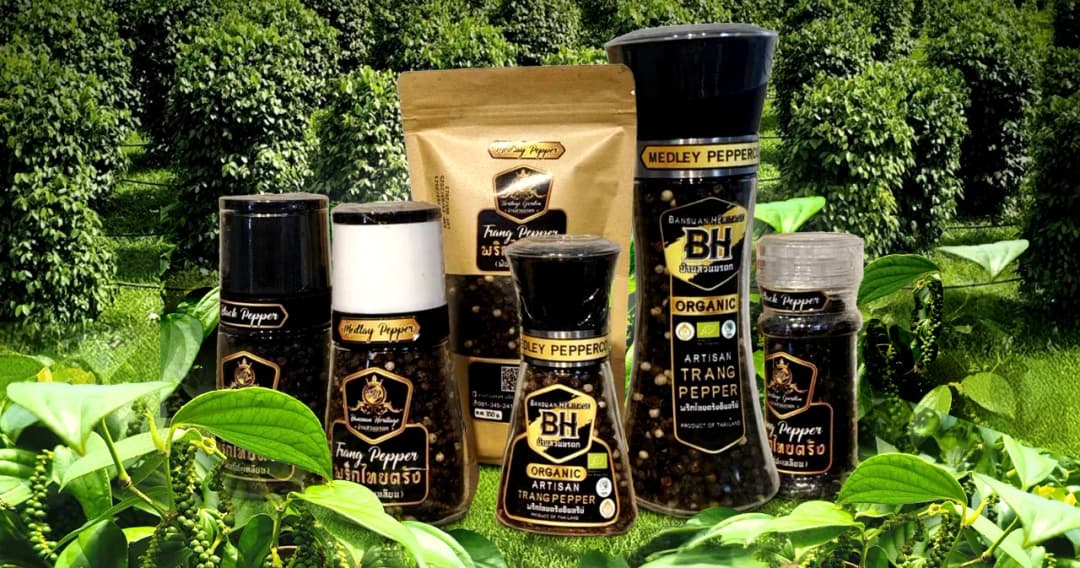 “พาณิชย์” ชื่นชมสวนพริกไทยตรัง หนุนเกษตรกรเพิ่มผลผลิตและขยายตลาดสินค้า GI ผลักดันครัวไทยสู่ครัวโลก