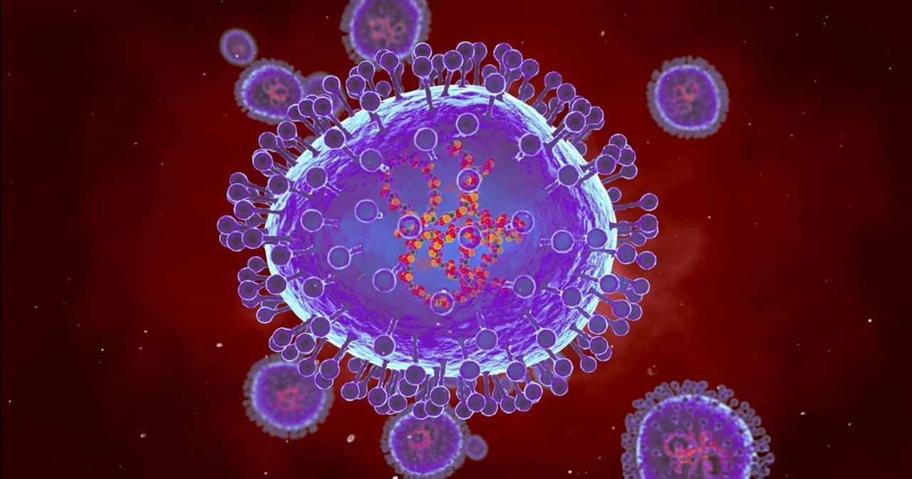 รู้จักไวรัส HMPV ที่ระบาดในจีน องค์การอนามัยโลกยืนยันไม่น่ากังวล แค่ระบาดตามฤดูกาล