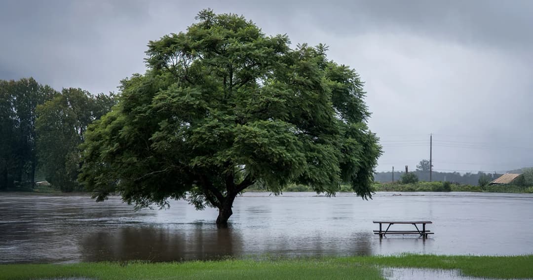ทำไมมีป่าสมบูรณ์ แต่น้ำถึงท่วมเหมือนเดิม?