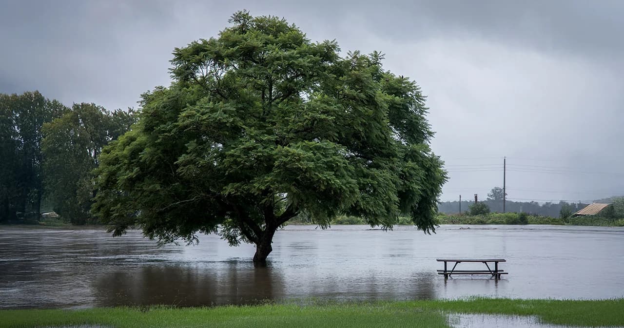 ทำไมมีป่าสมบูรณ์ แต่น้ำถึงท่วมเหมือนเดิม?