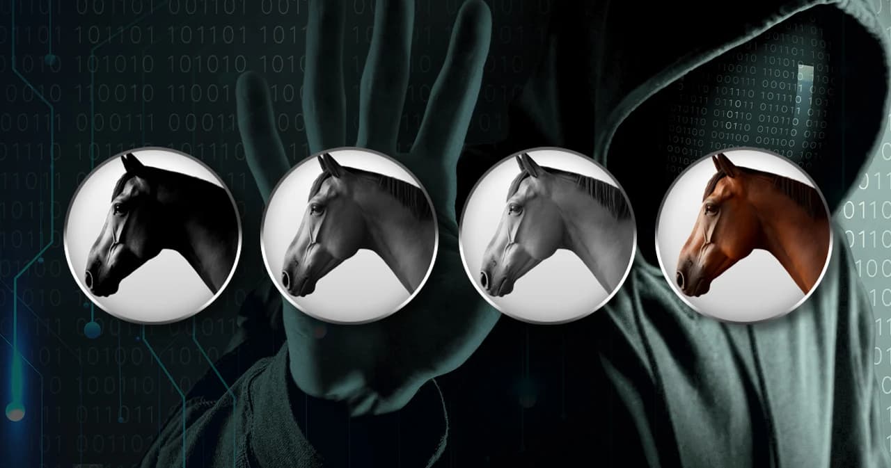 บัญชีม้า