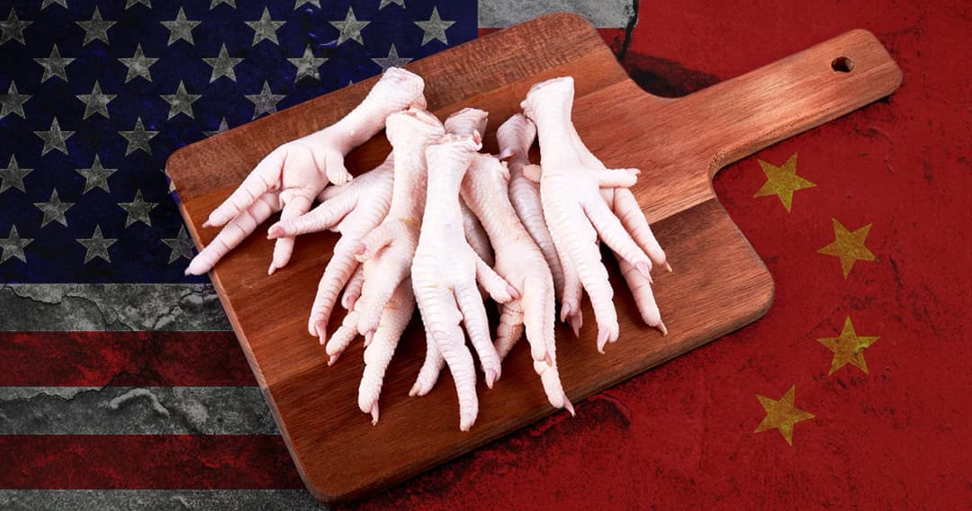 ‘ตีนไก่’ อาวุธลับสงครามการค้า วัดใจ ‘จีน-สหรัฐฯ’ ใครแพ้ ใครชนะ สมรภูมินี้