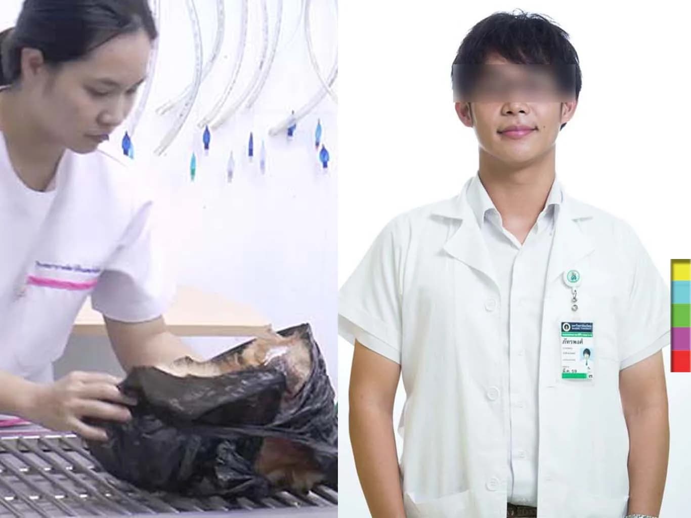 คนขับรถขนส่งสุนัขเลื่อนเข้าให้ปากคำเป็นวันพรุ่งนี้ ด้านคดียังไม่แจ้งข้อหาผู้ใด