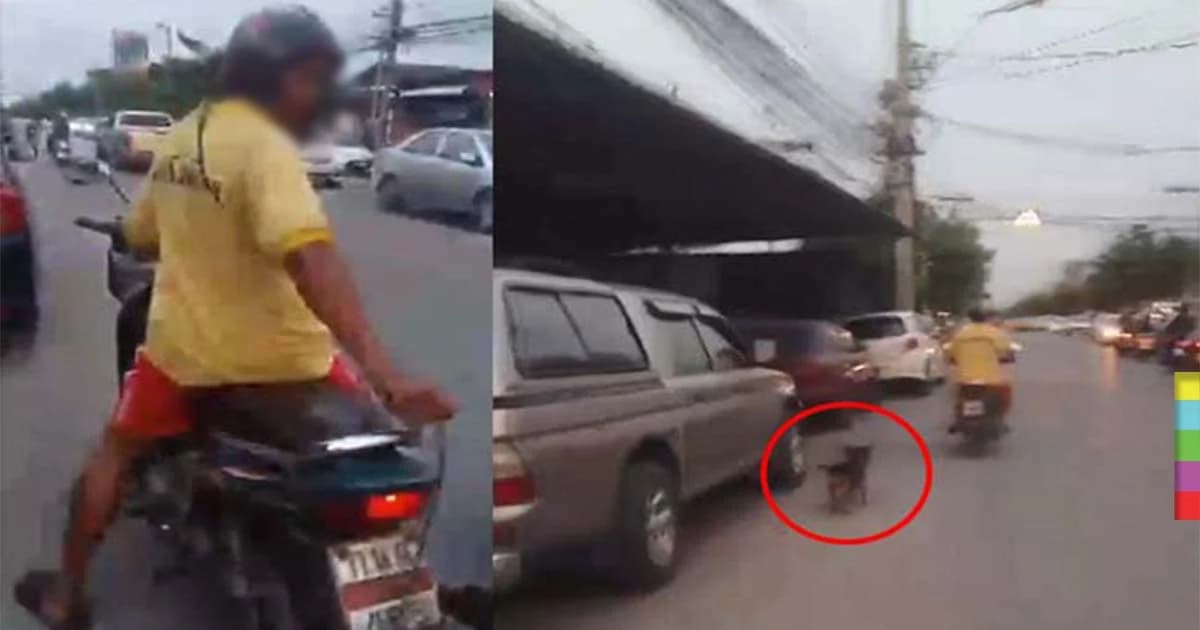 ศาลสั่งจำคุก “ลุงขี่ จยย.ลากหมา” 6 เดือน ปรับ 1 หมื่น รอลงอาญา 2 ปี