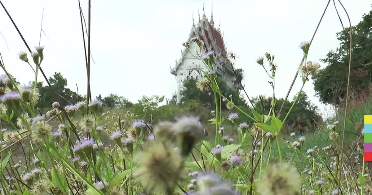 อุโบสถสุดตระการตา ขาดงบประมาณก่อสร้าง ถูกทิ้งร้าง 3 ปี !