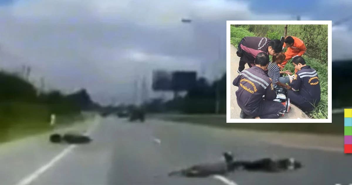 2 สาวขี่ จยย.เปลี่ยนเลนกะทันหัน ถูกกระบะชนลื่นไถล หวิดดับกลางถนน