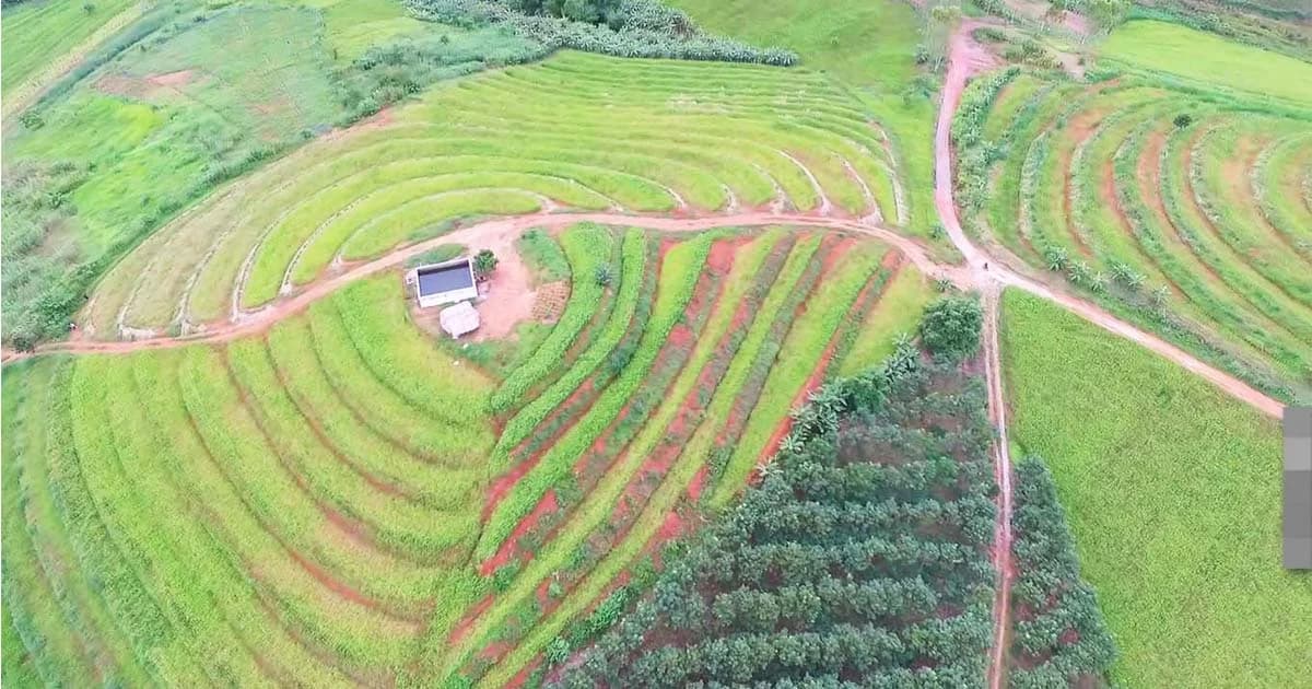 เที่ยวชมนาขั้นบันไดบ้านน้ำจวง ใช้ศาสตร์พระราชาอนุรักษ์ดิน น้ำ ป่า