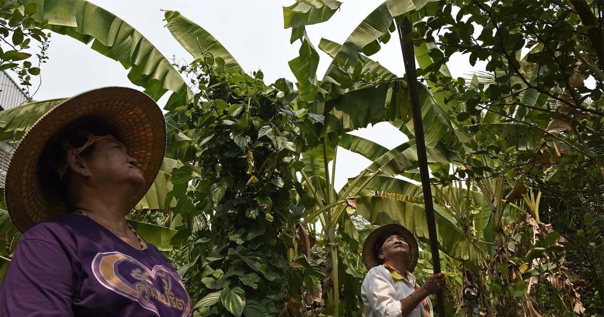 โพลเผย ปชช.พร้อมใจน้อมนำหลักคำสอน ร.9 มาปรับใช้ – ขอทำดีถวาย