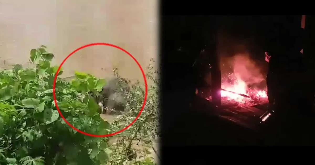 ปรับพื้นที่คลองชมพูให้ลาดเอียงน้อยลง เตรียมต้อนช้างให้ขึ้นฝั่งเอง